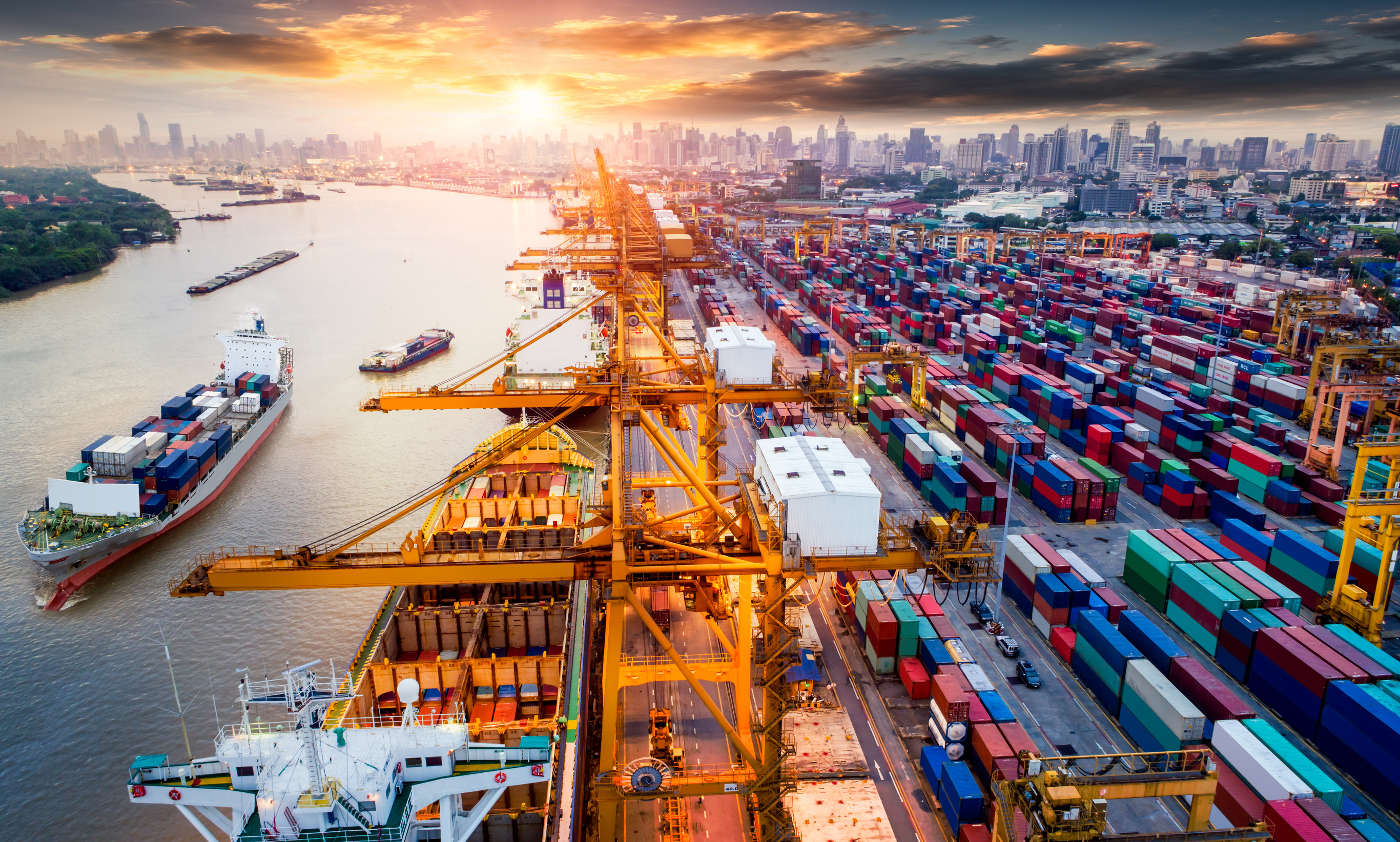 International freight forwarding and cargo coordination